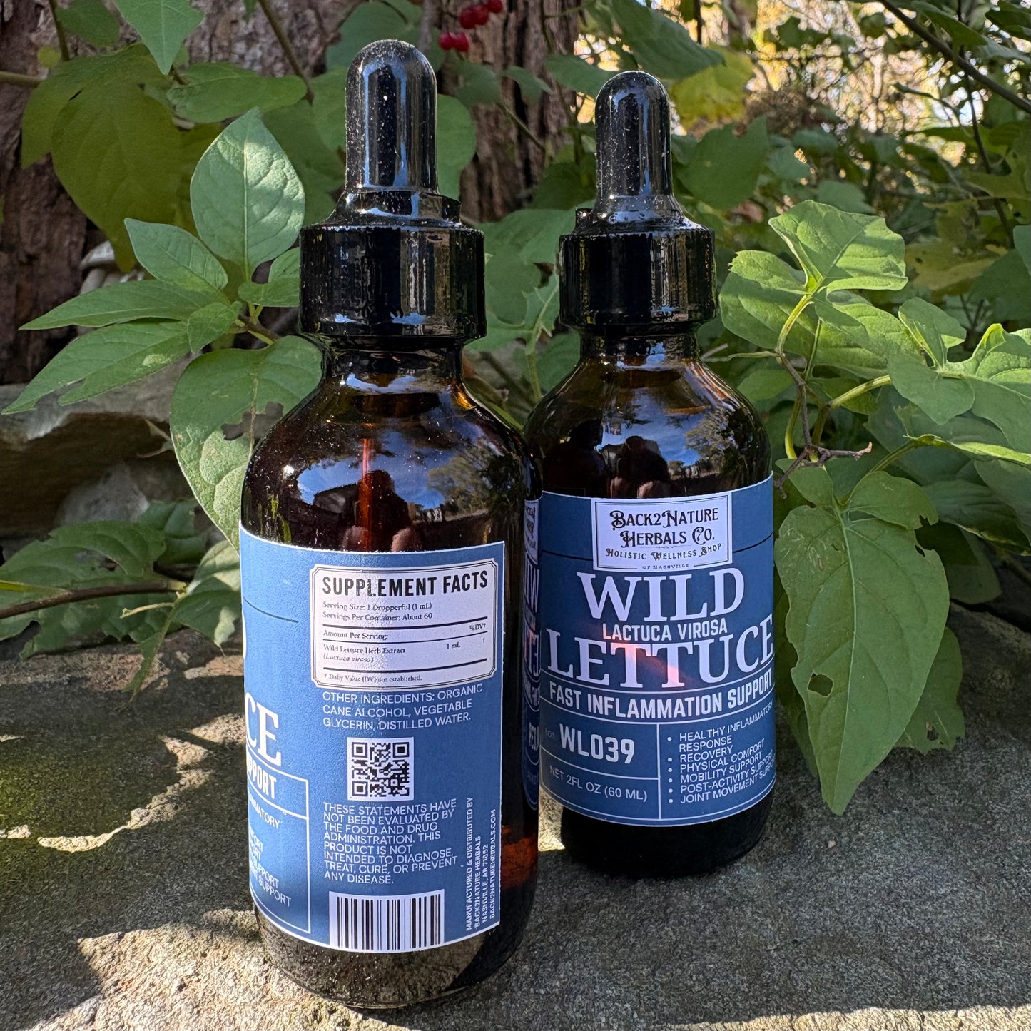 Back2Nature Wild Lettuce Tincture | 2 fl oz