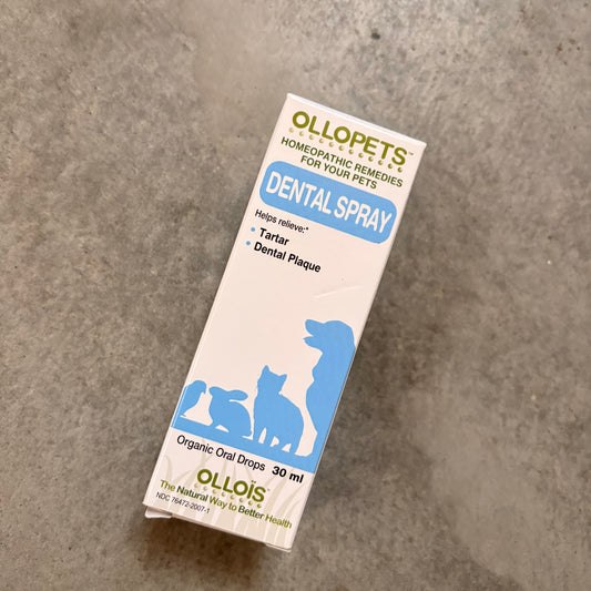 Dental Spray - Homeopathic Remedies for Pets by Ollopets