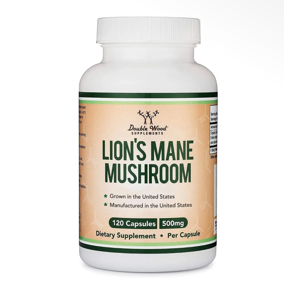 Lion’s Mane Mushroom