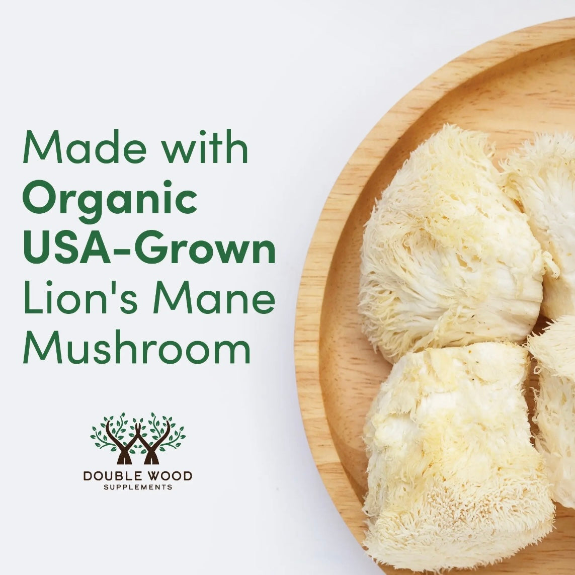 Lion’s Mane Mushroom