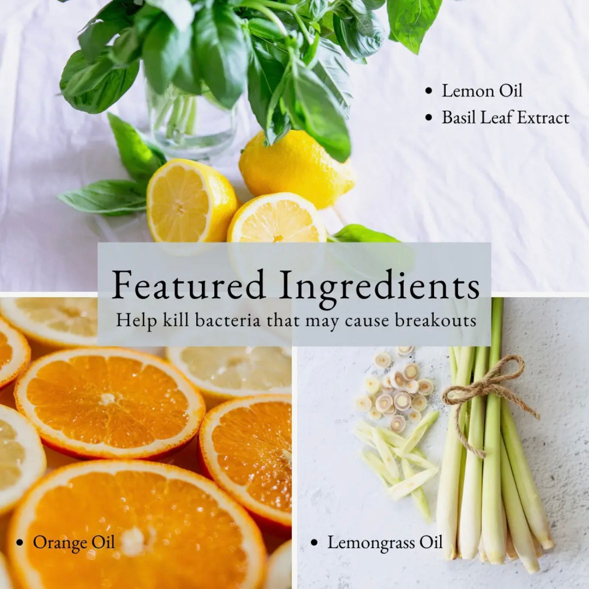 Purifying Gel Cleanser by HoneyBee Gardens