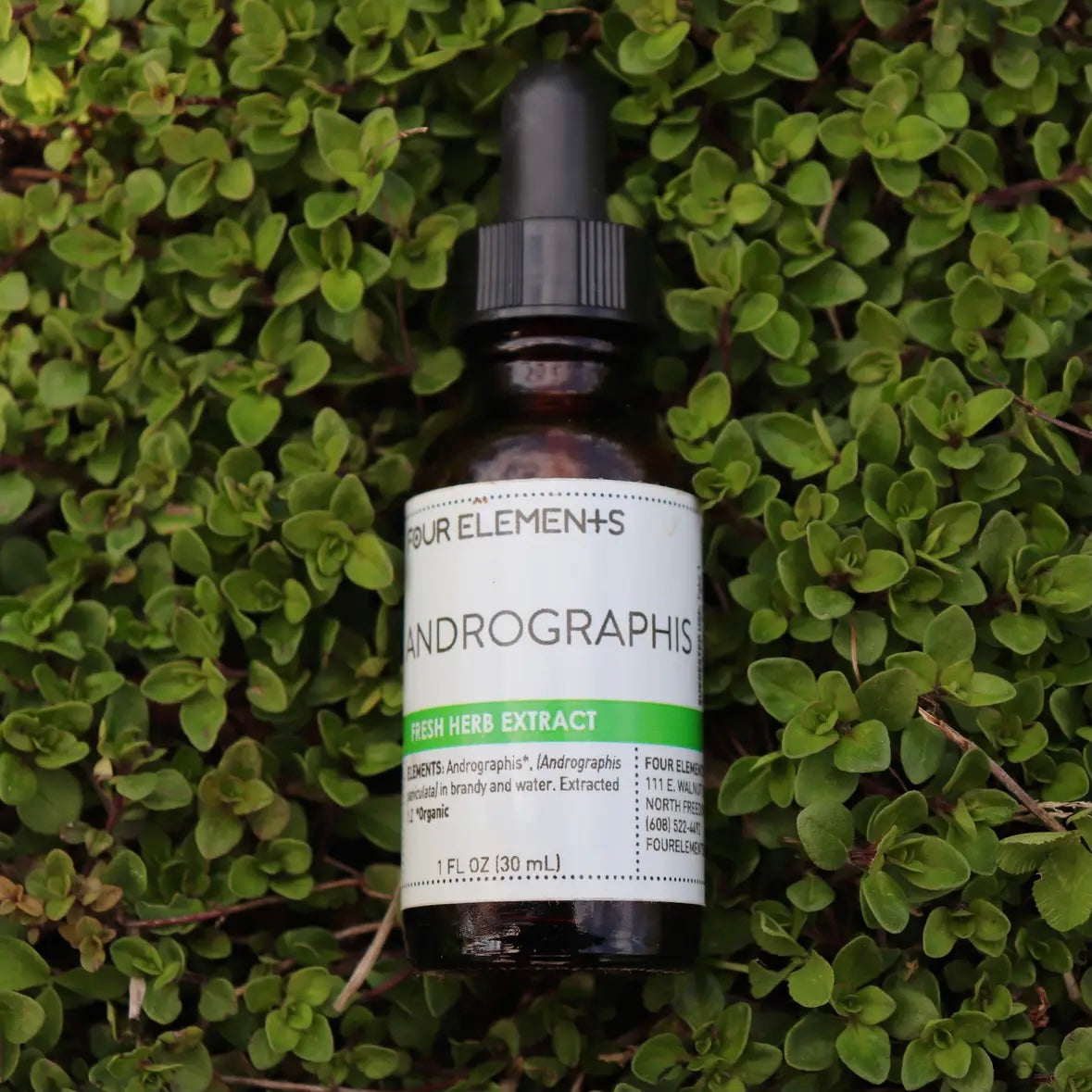 Liver Kidney Blend, Boneset, Androgaphis or Echinacea Herbal Extracts - 1fl oz by Four Elements