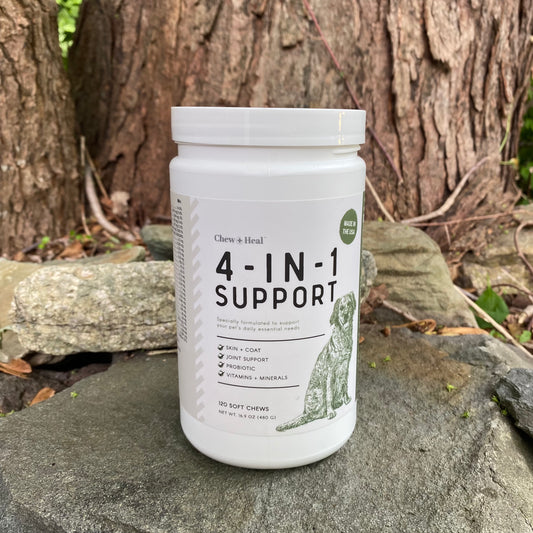 4 in 1 Support - Formulated to Support Your Dog's Daily Essential Needs - by Chew + Heal