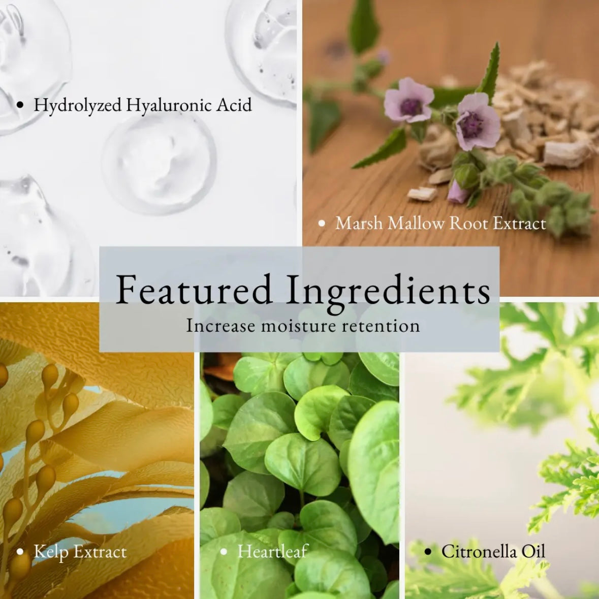 Purifying Gel Cleanser by HoneyBee Gardens