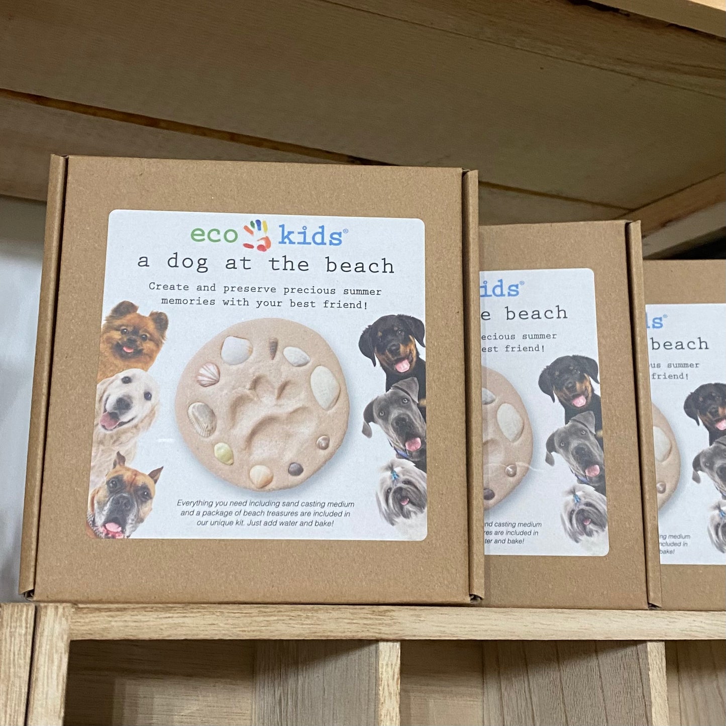 A Dog at the Beach - Paw Kit - by Eco Kids