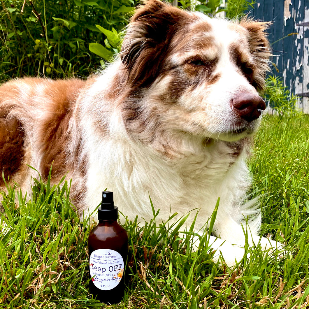 Keep Off - Essential Oil Spray for your Dog - 4oz Glass Spray