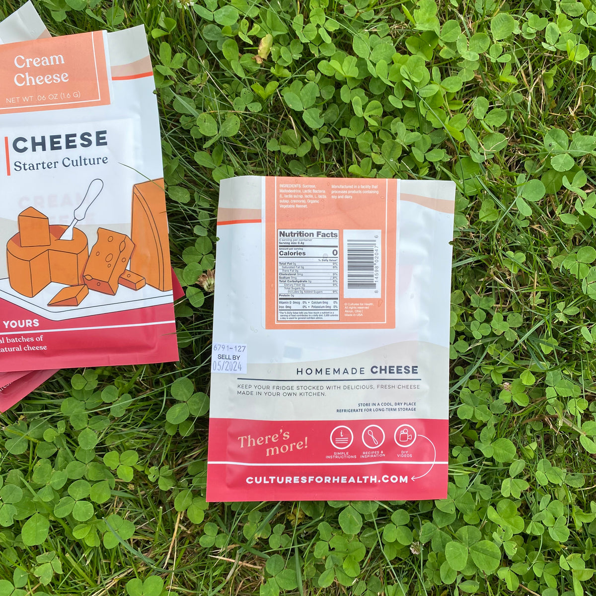 Cream Cheese Starter Culture by Cultures for Health The Hippie Farmer