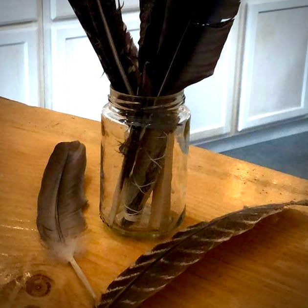Feather - Wild Picked Feathers from our Farm and Boggs - various kinds - The Hippie Farmer