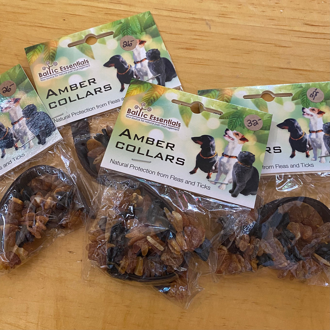 Amber Pet Collar Dog Cat Natural Flea and Tick Protection