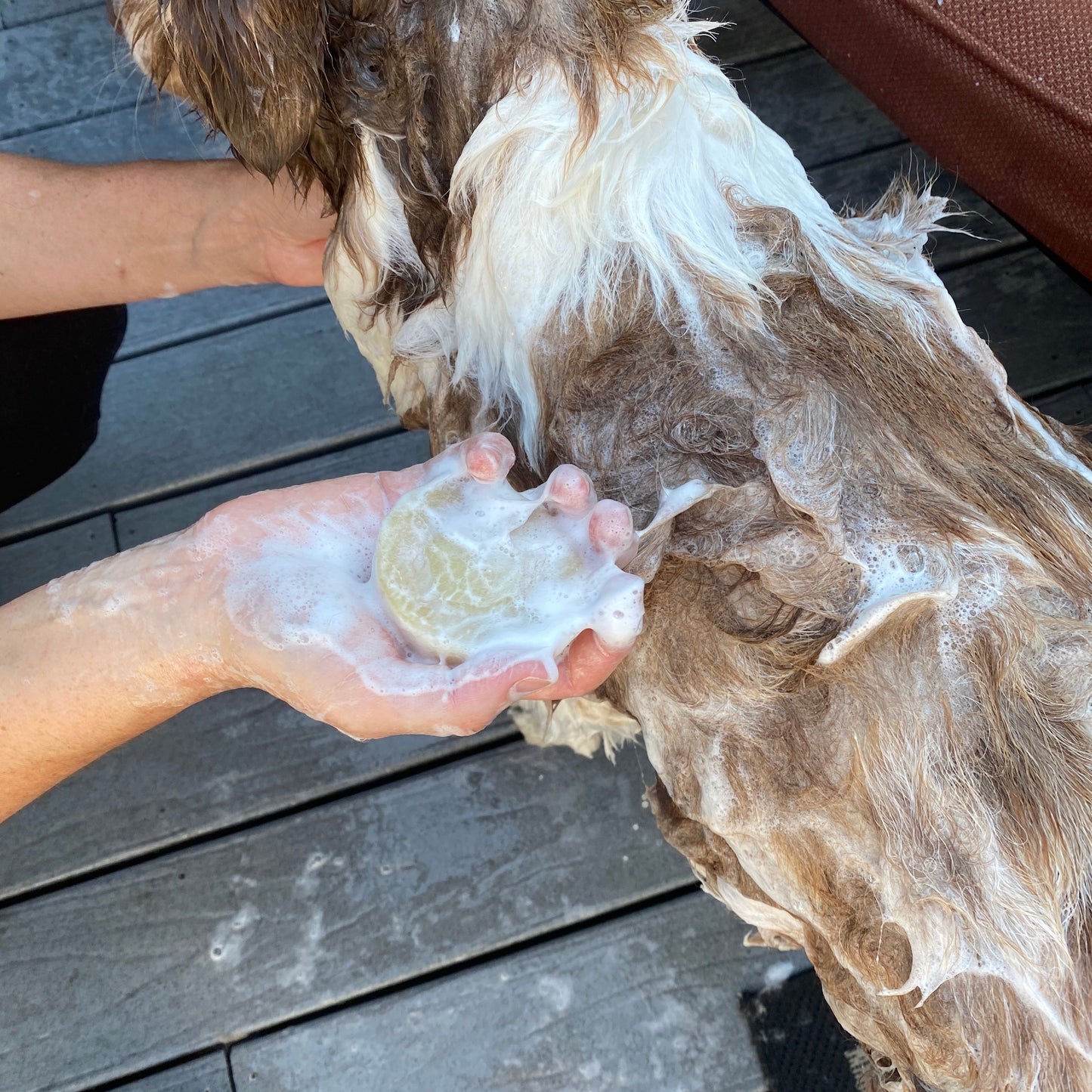 Dog Shampoo Bar - Dog Safe Essential Oil Scented - 4oz - The Hippie Farmer