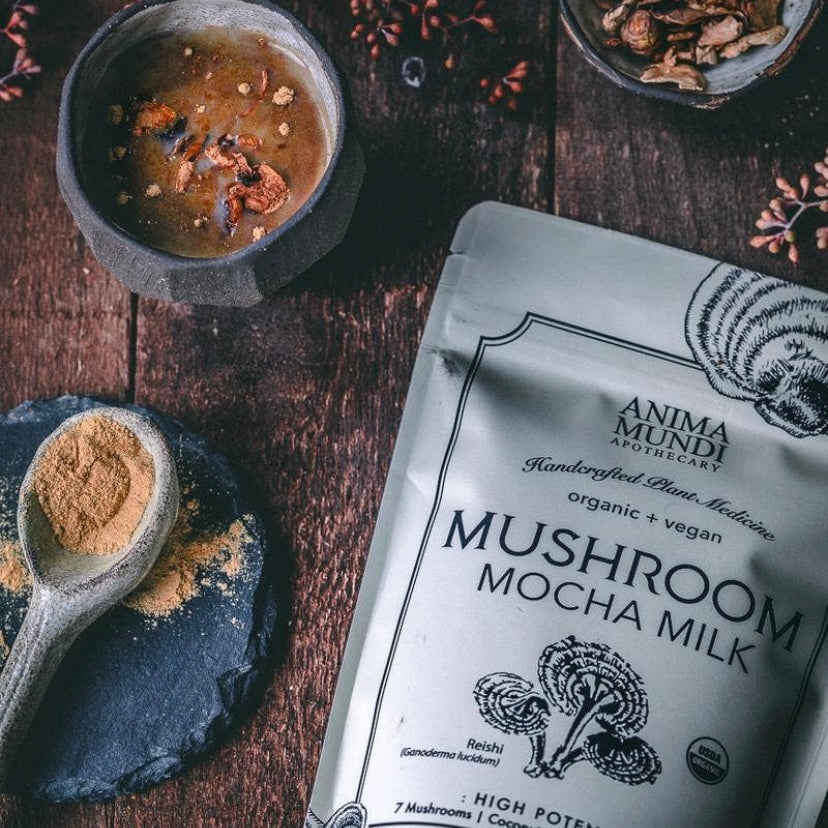 Mushroom Mocha Milk - Longevity Mushrooms - 8 oz or 1lb (16oz) - by Anima Mundi Apothecary