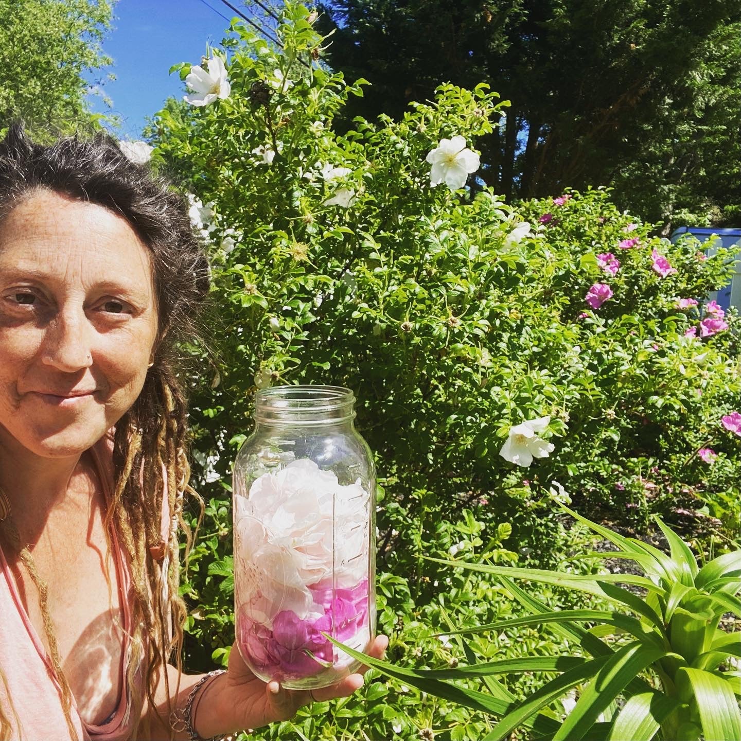 Rose Glycerite - 1oz - A beach rose tincture - LIMITED SEASONAL BATCH - The Hippie Farmer