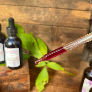 Elderberry Tincture or Glycerite - Homegrown on Our Farm - 2oz - LIMITED SEASONAL BATCH - The Hippie Farmer